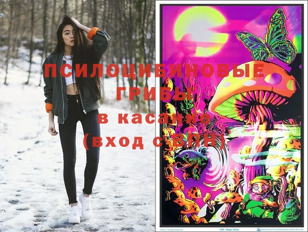 таблы Арсеньев