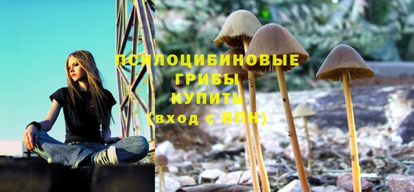 таблы Арсеньев