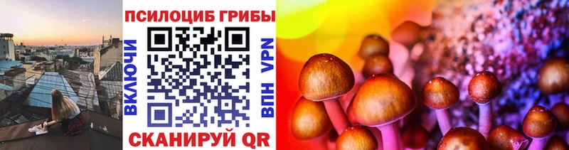 Галлюциногенные грибы GOLDEN TEACHER  где купить наркоту  даркнет клад  Певек 